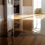 Water Damage! Wood Floor Restoration in 5 Key Steps
