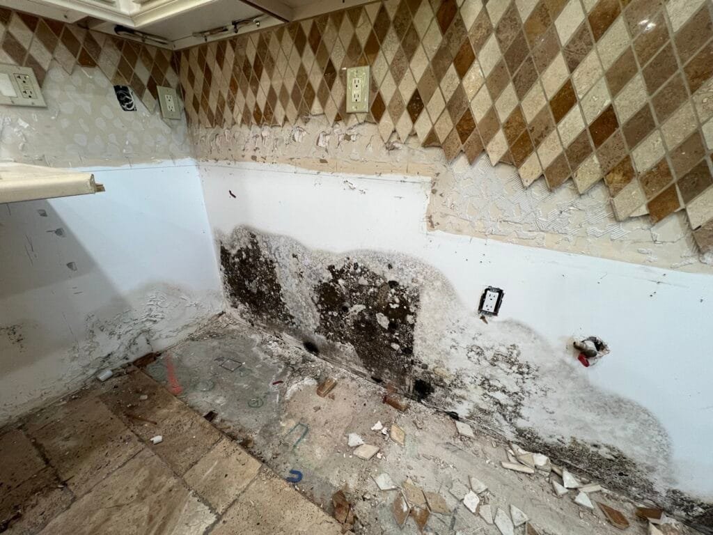 Mold growth on drywall behind removed kitchen cabinets in an Encino home