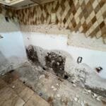 Mold growth on drywall behind removed kitchen cabinets in an Encino home