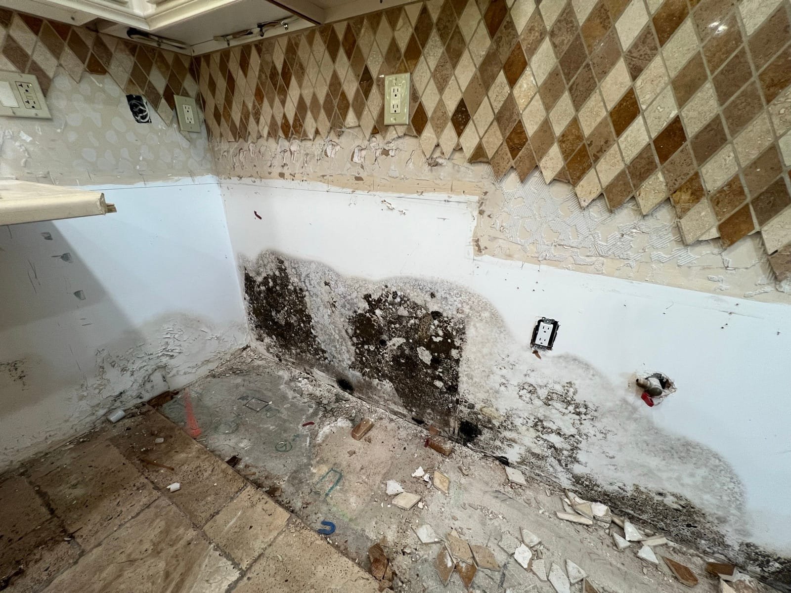 Mold growth on drywall behind removed kitchen cabinets in an Encino home