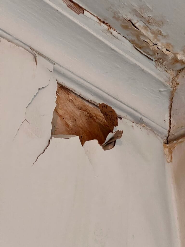 Plaster and crown molding damaged by a roof leak in an older Beverly Hills home