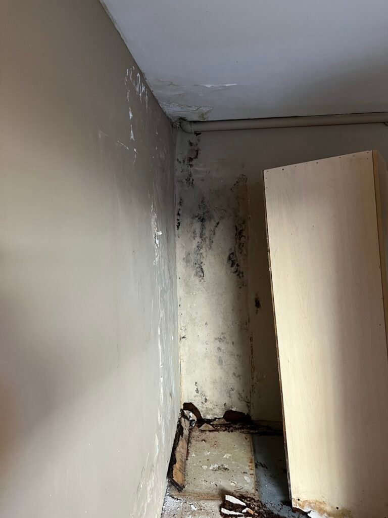 Mold on a wall after a leak from a neighbor's unit in Sherman Oaks